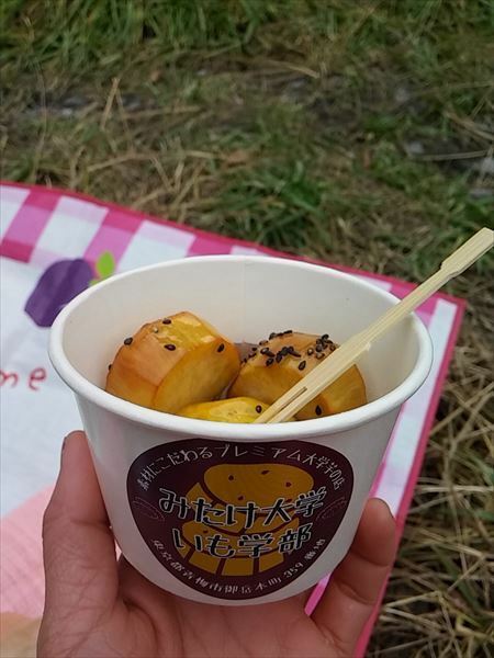 16-11-15-13-43-11-108_photo_r