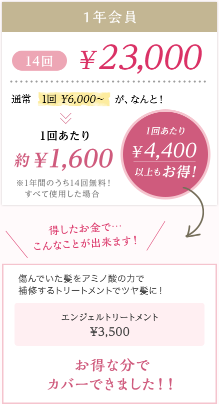 1年会員の料金