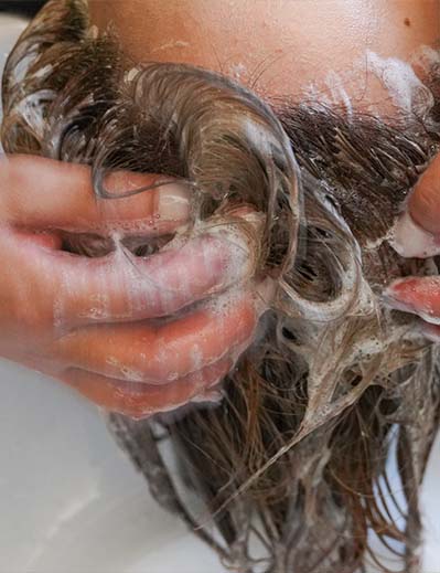 有害物質の除去