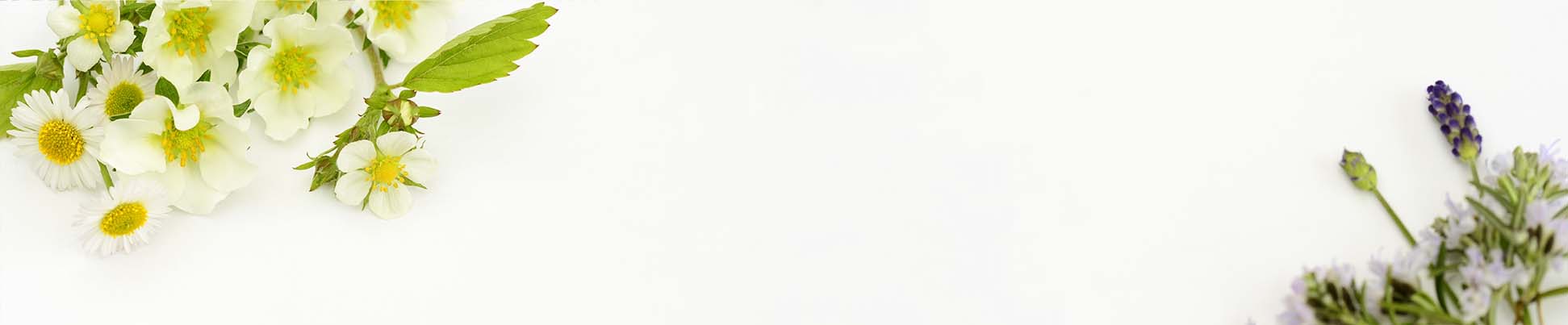 オリジナル商品