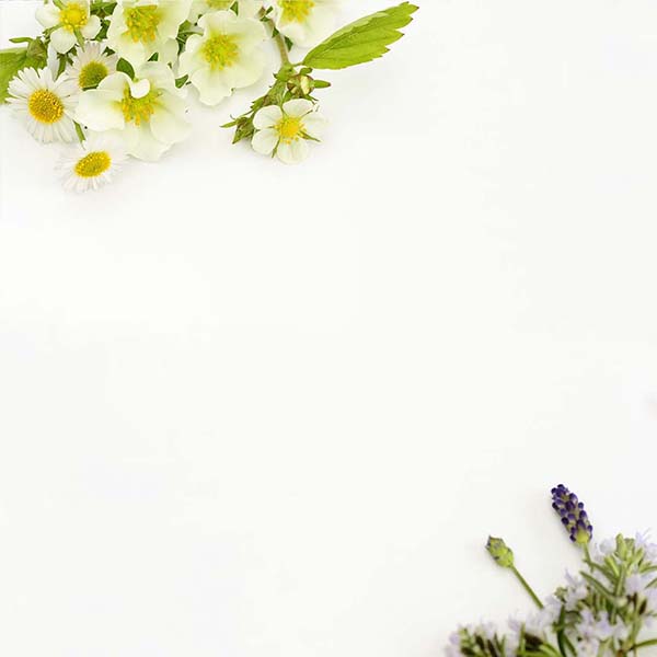 オリジナル商品